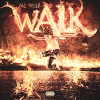 the cover of the album walk by jae trulz